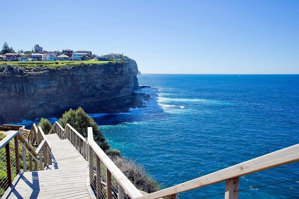 25 Myuna Road, Dover Heights - Thumbnail 2