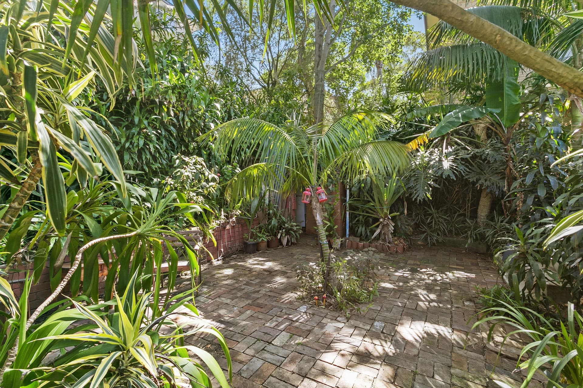 163 Coogee Bay Road, Coogee - Thumbnail 8