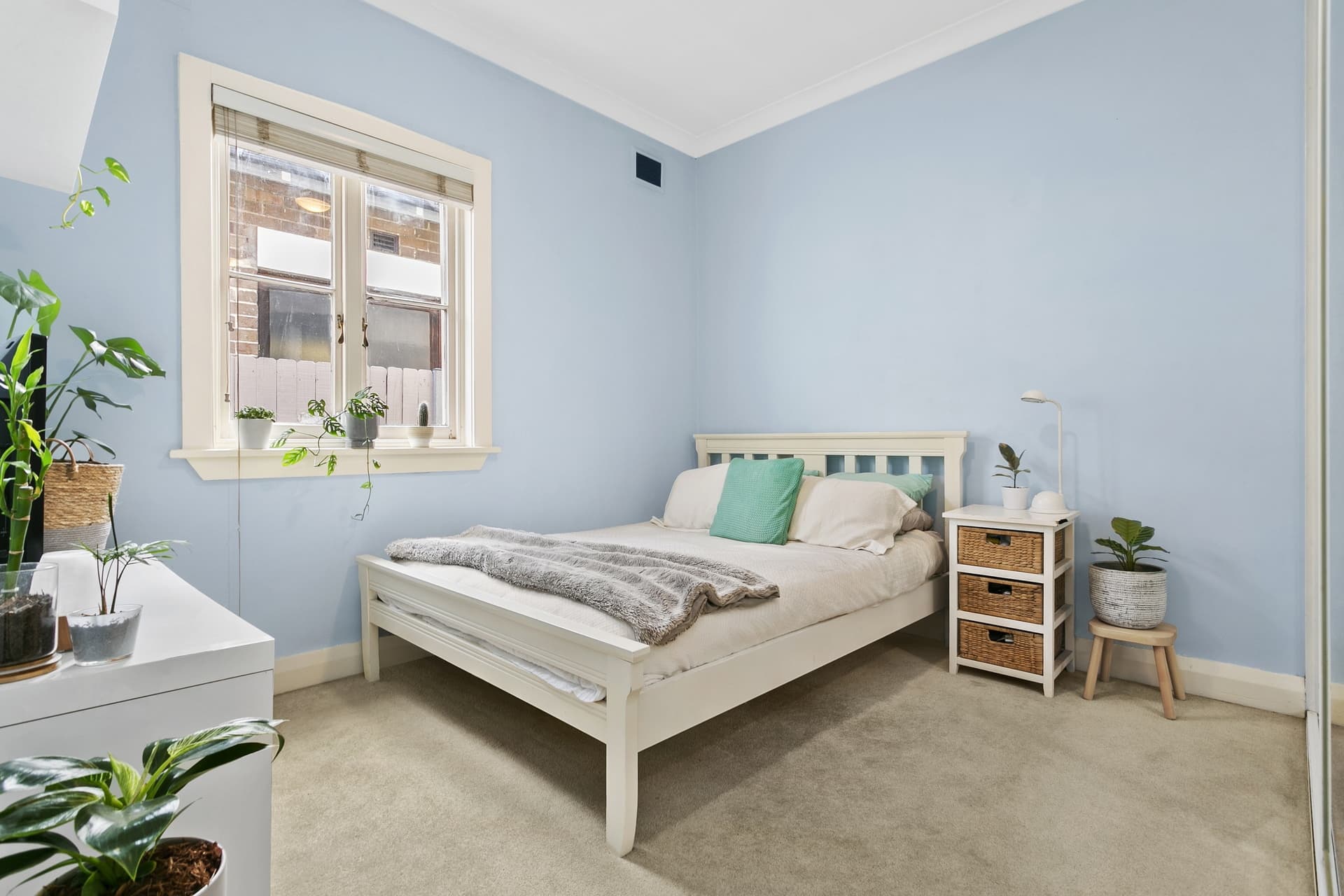 78 Paine Street, Maroubra - Thumbnail 7