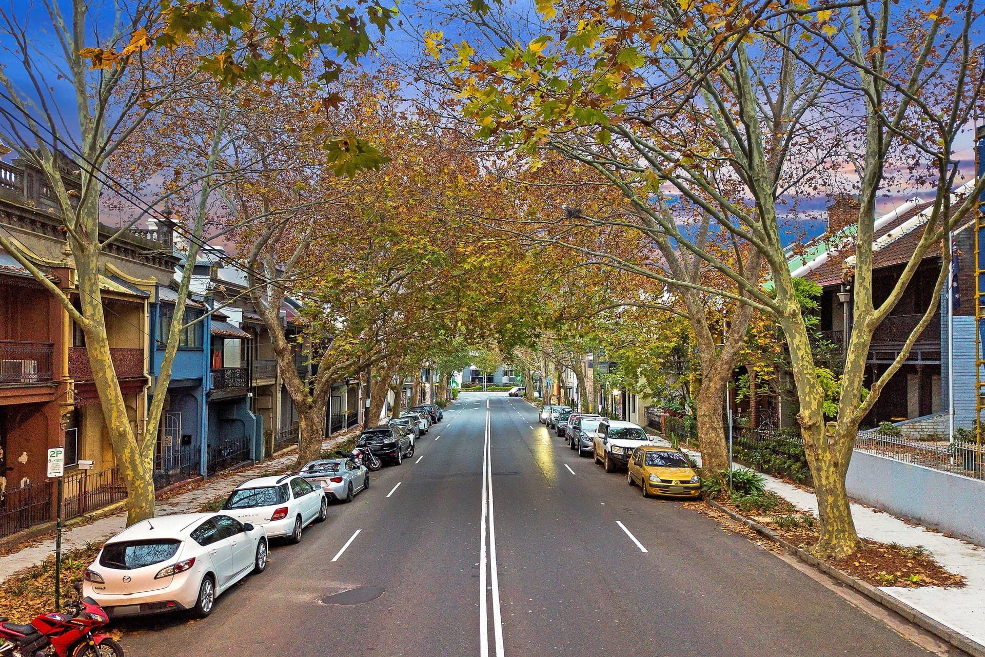 292 South Dowling Street, Paddington - Thumbnail 3