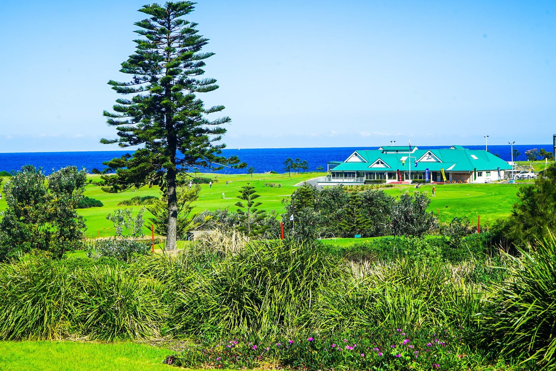 203/2-8 Pine Avenue, Little Bay - Thumbnail 7