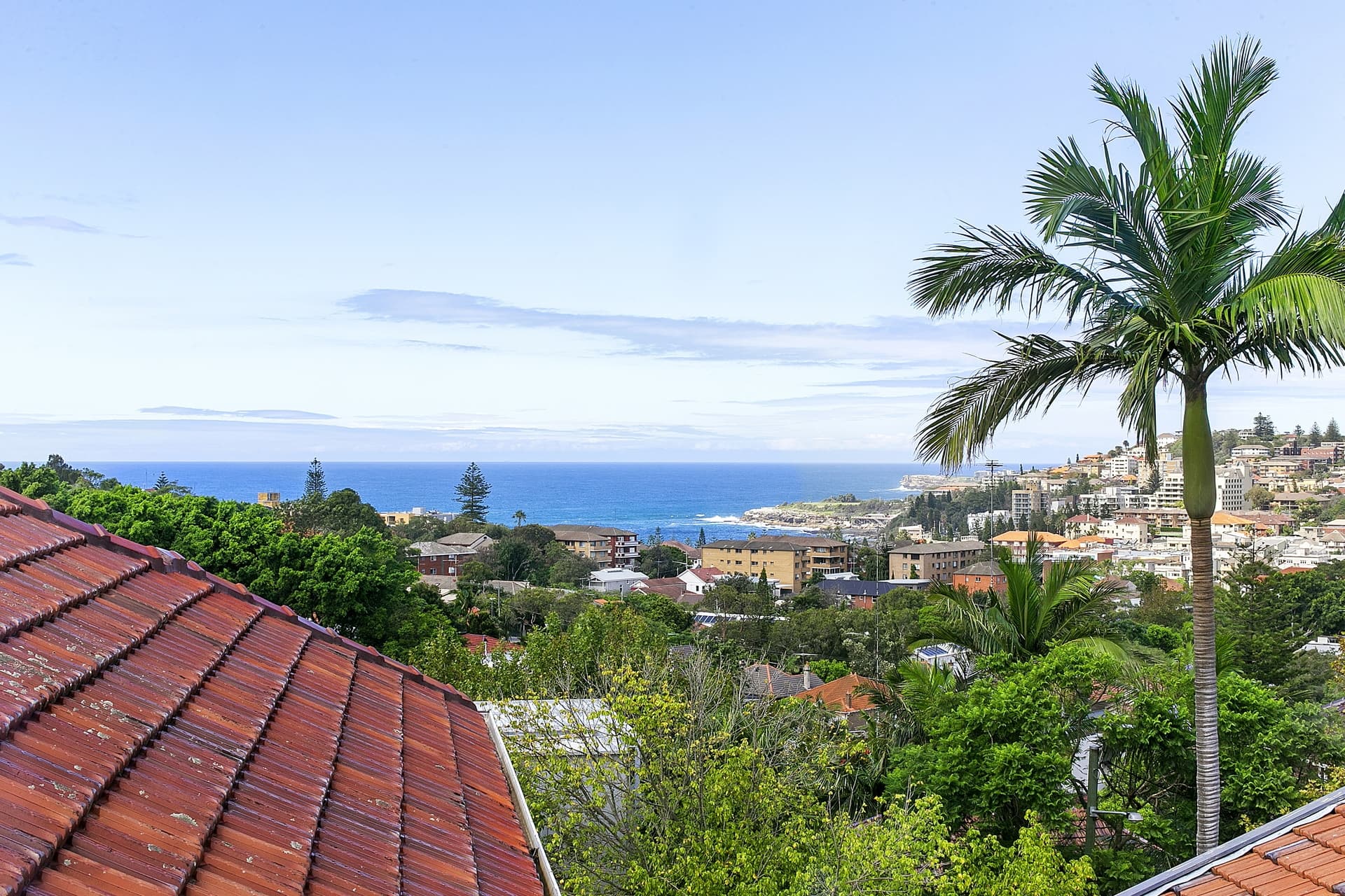 12a Mount Street, Coogee - Thumbnail 3