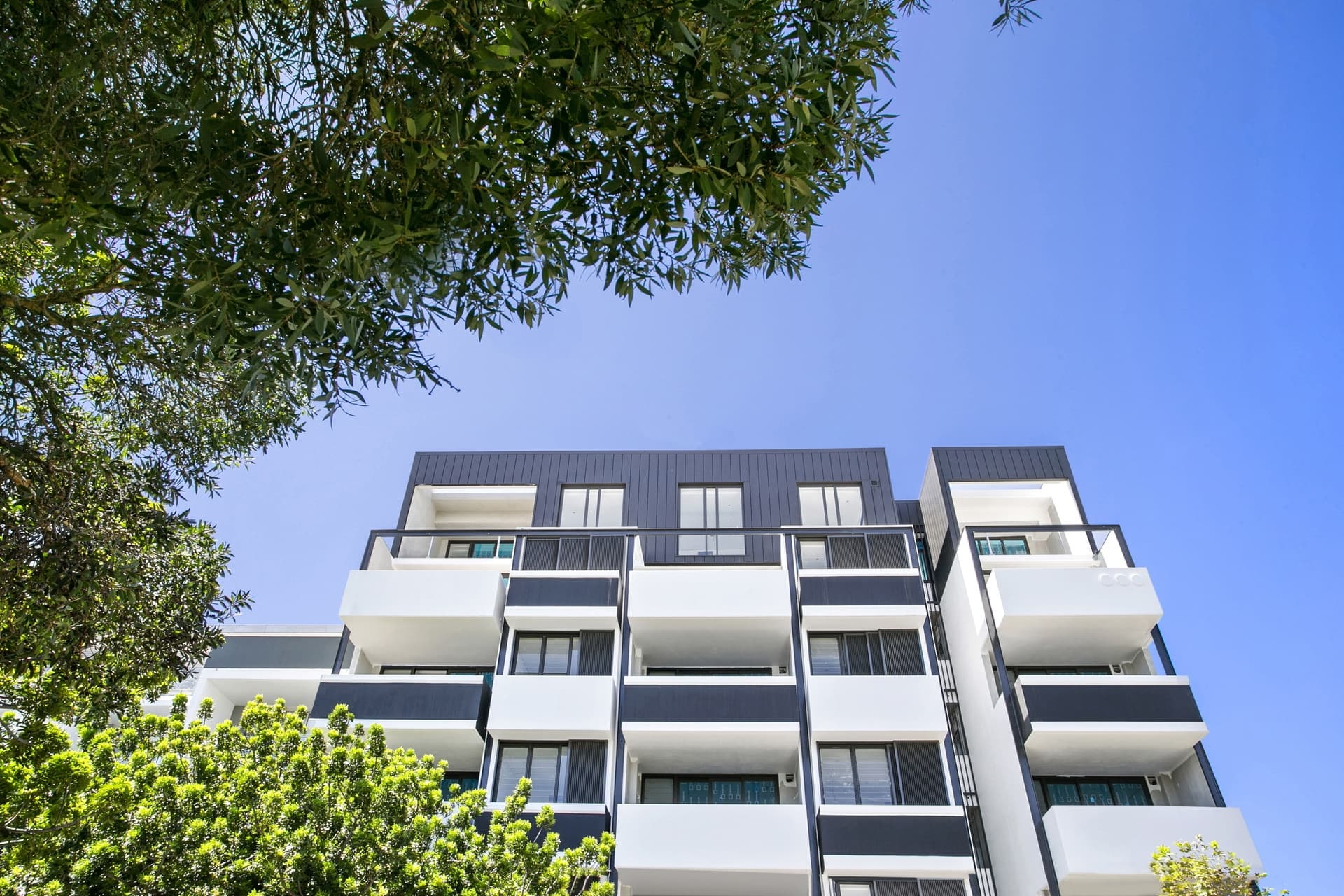 204/3 Ralph Street, Alexandria - Thumbnail 5