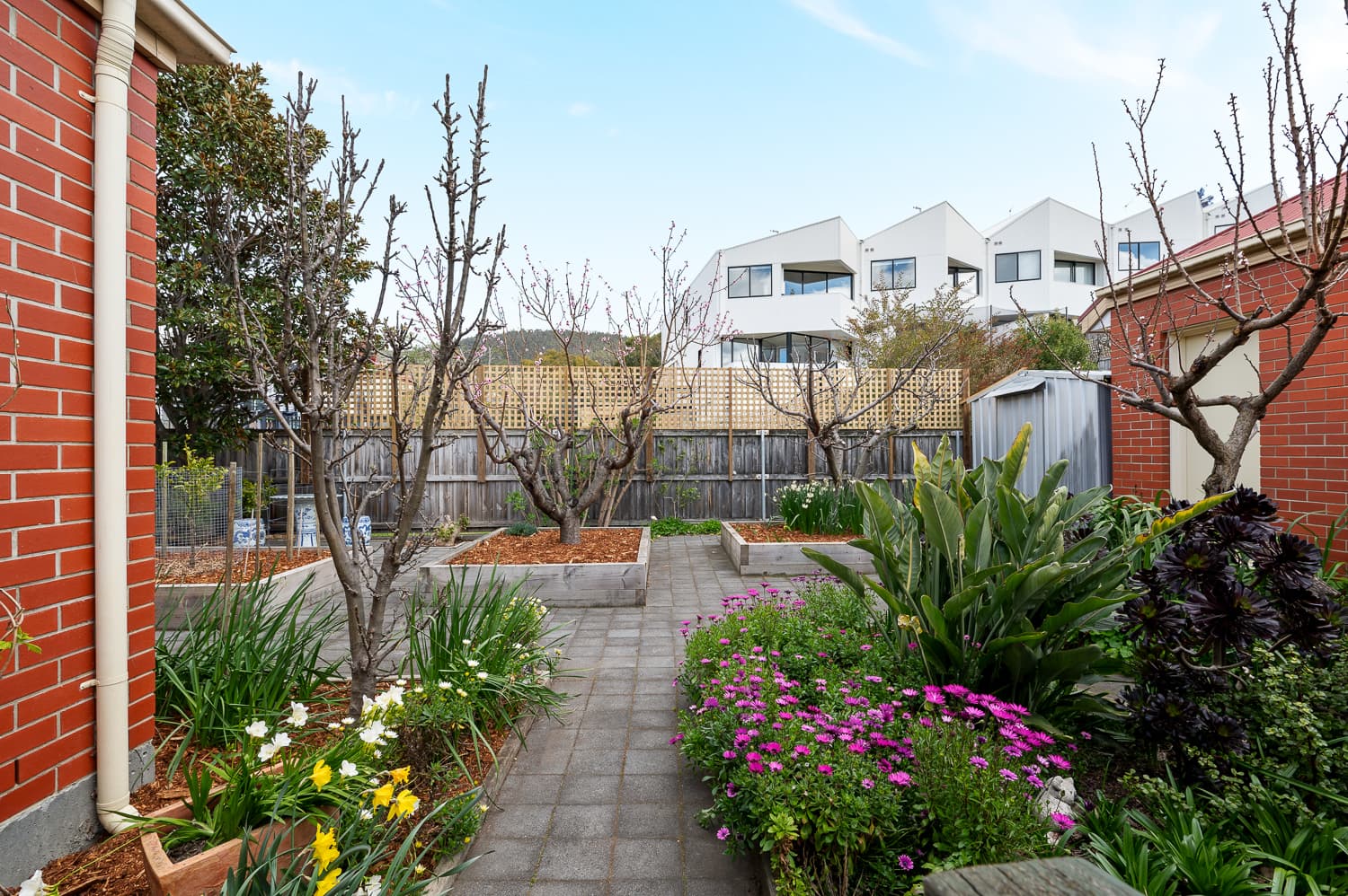 1/55a Newdegate Street, WEST HOBART TAS 7000, West Hobart - Thumbnail 8