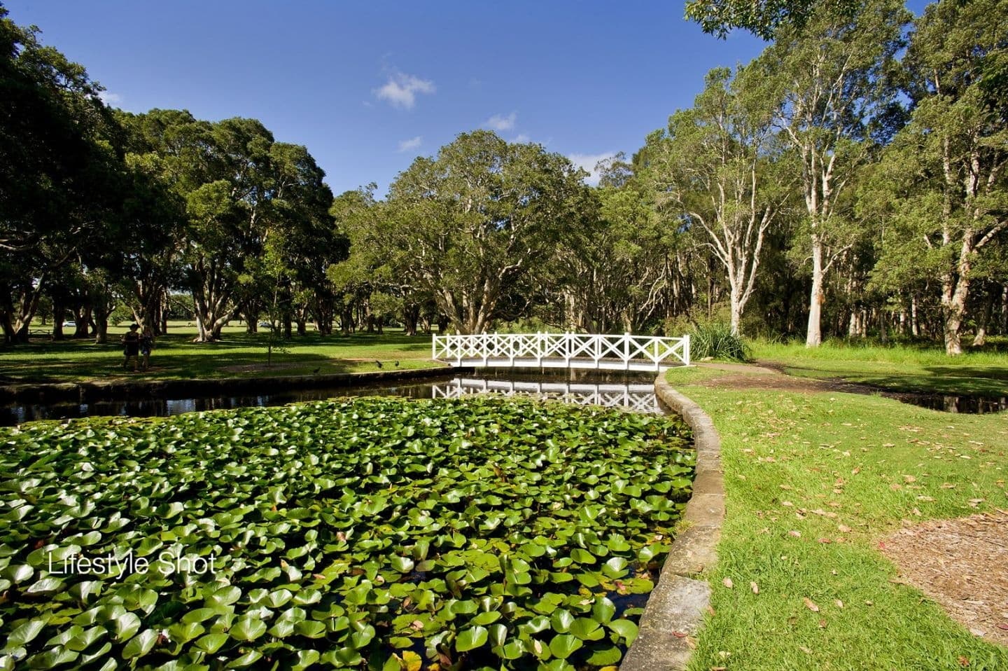5/67 Kensington Road, Kensington - Thumbnail 2