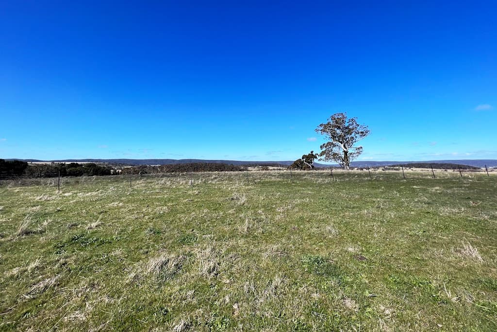 2071 Taralga Road, Goulburn, NSW, 2580, Goulburn - Thumbnail 3