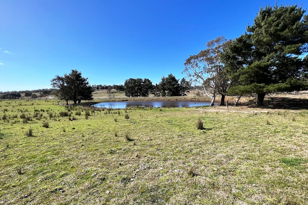 2071 Taralga Road, Goulburn, NSW, 2580, Goulburn - Thumbnail 6