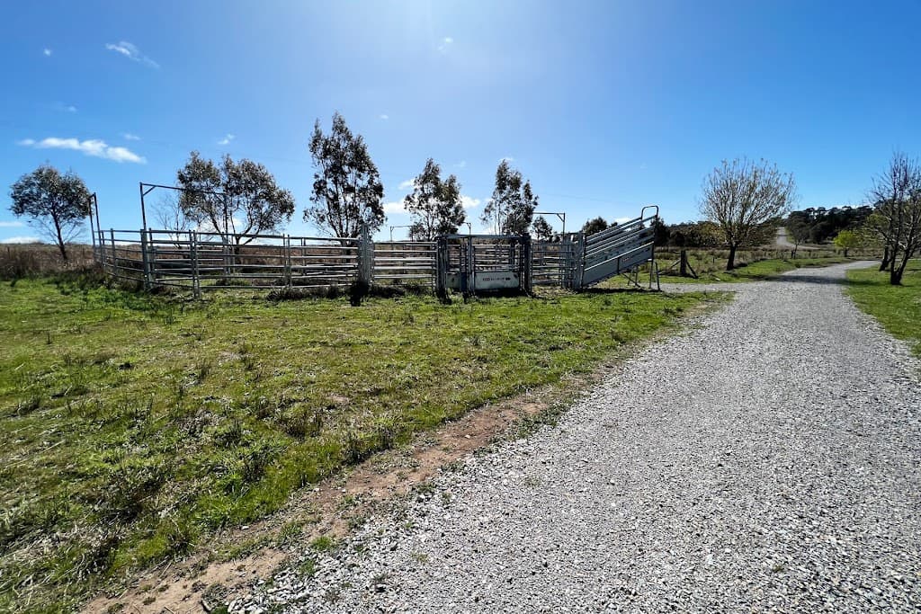 2071 Taralga Road, Goulburn, NSW, 2580, Goulburn - Thumbnail 8