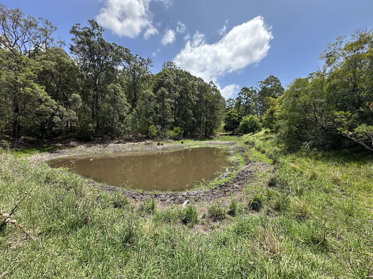 Lot 22/118570 Markwell Rd, Markwell, Bulahdelah, Markwell - Image 1