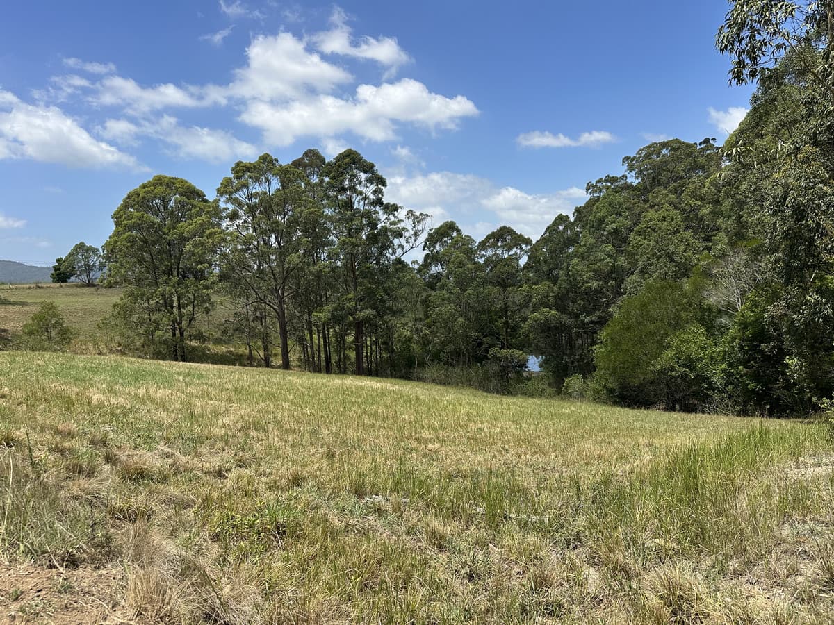 Lot 22/118570 Markwell Rd, Markwell, Bulahdelah, Markwell - Thumbnail 3