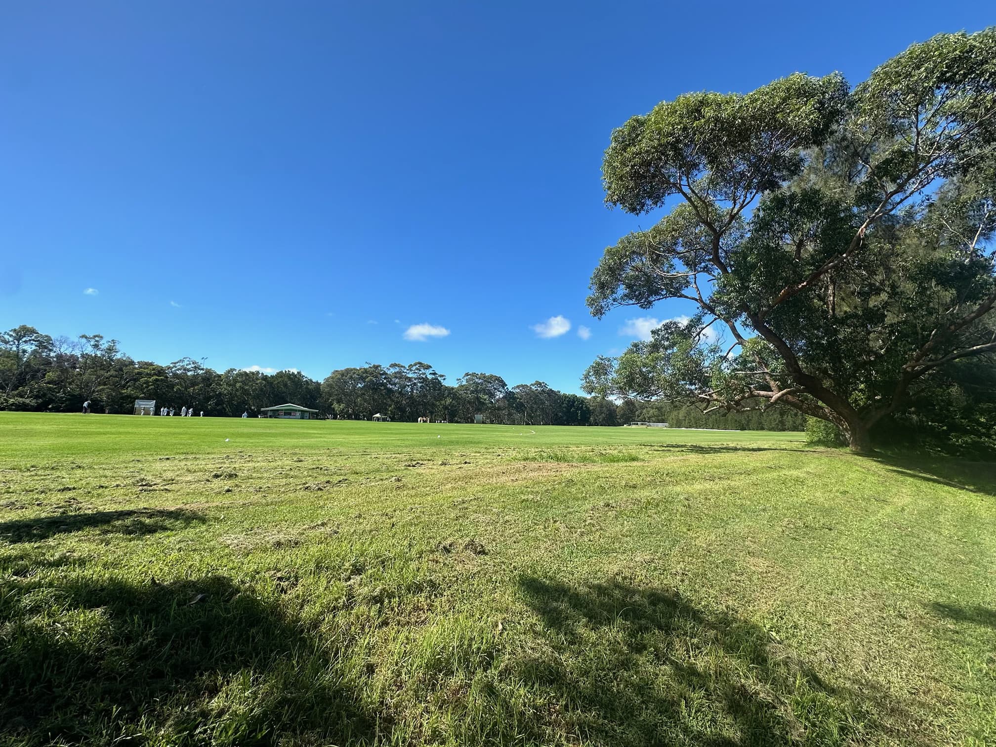 4B Holloway Place, Curl Curl NSW 2096, Curl Curl - Thumbnail 6