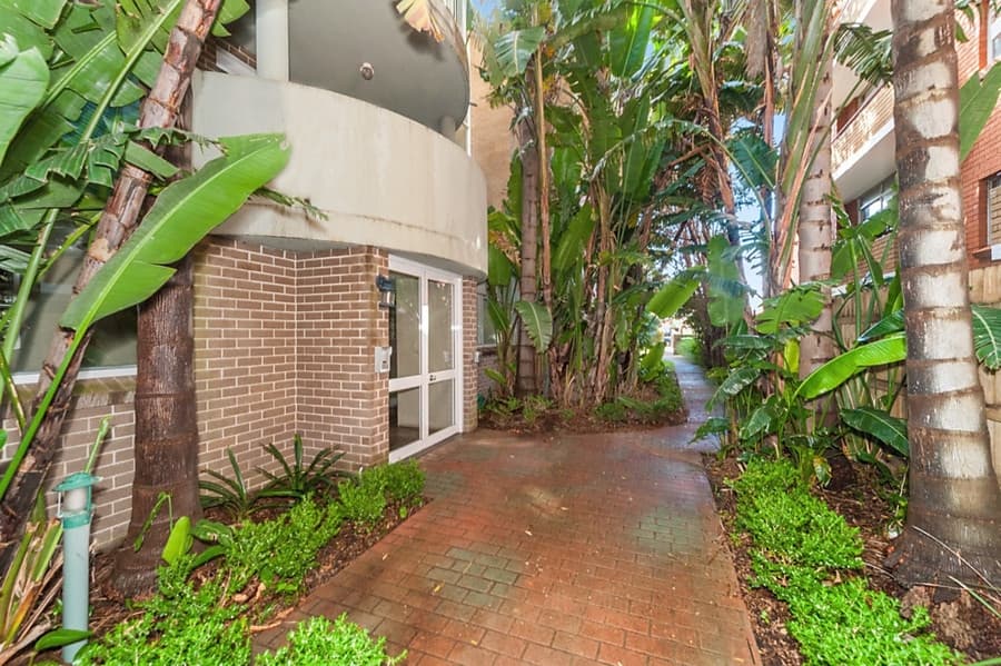3/24 Maroubra Road, Maroubra - Thumbnail 4