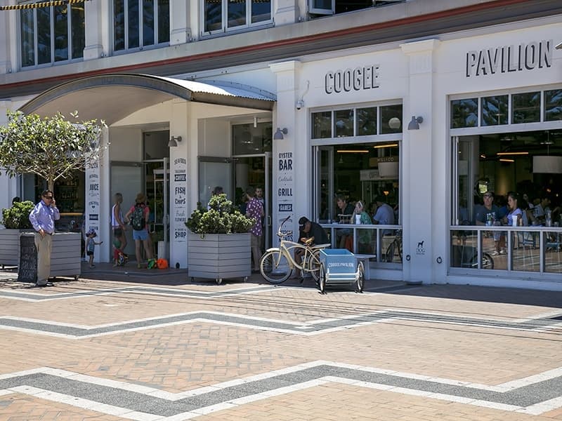 4/27 Berwick Street, Coogee - Thumbnail 3