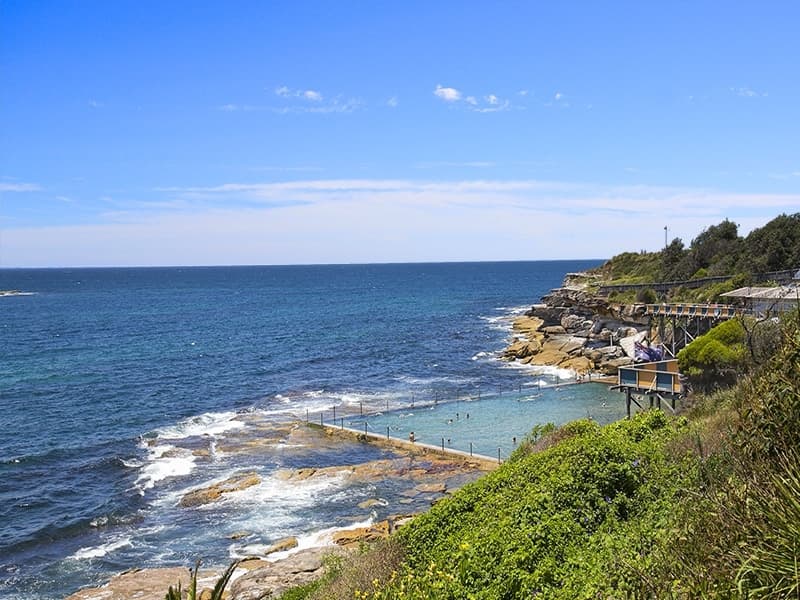 4/27 Berwick Street, Coogee - Thumbnail 4