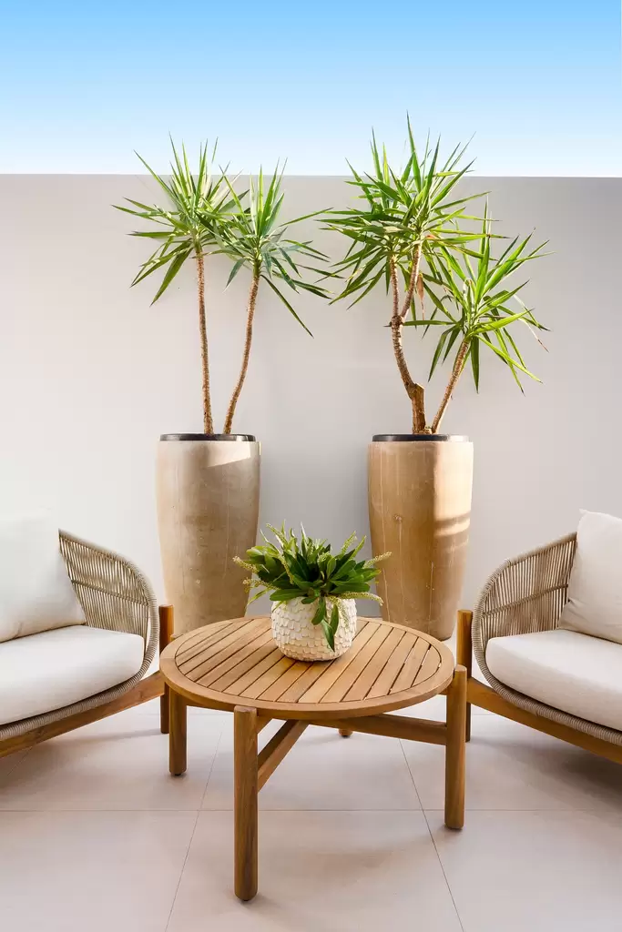 6a Clifton Street, West Ryde, West Ryde - Thumbnail 4