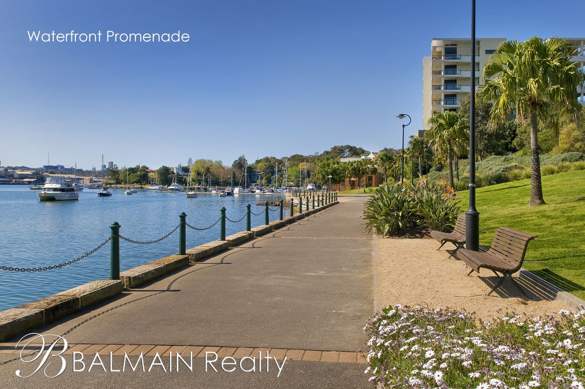 Level B/208/1 Nagurra Place Rozelle NSW, Rozelle - Thumbnail 2