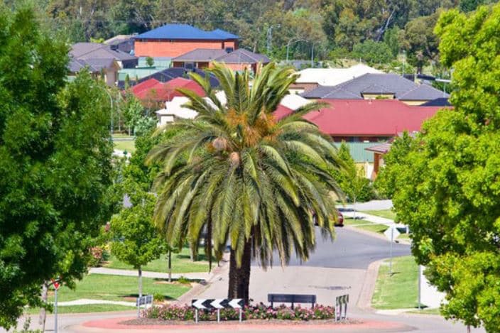 114 Sunrise Terrace, East Albury, NSW, 2640, East Albury - Thumbnail 5
