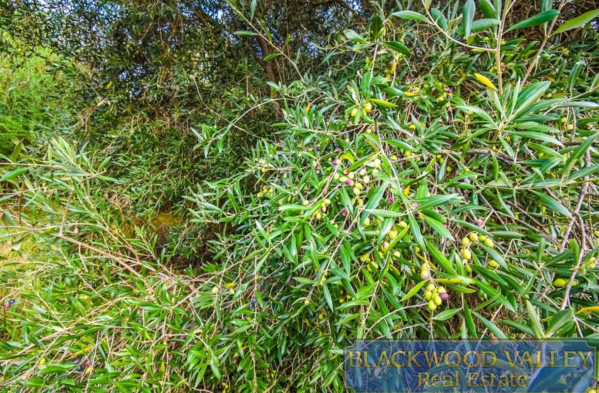 Lot 34/10 Henry Street, Bridgetown, Bridgetown - Thumbnail 4