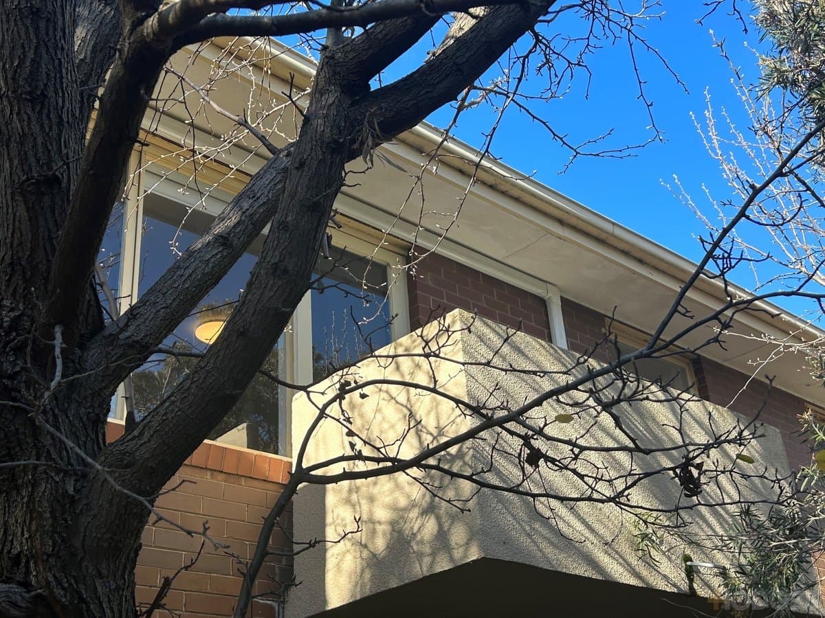 16 / 19 Abbott Street, Sandringham, VIC, 3191, Sandringham - Image 1