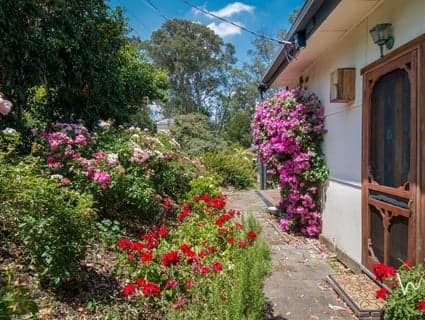 28 Martin Street, Belgrave - Thumbnail 3