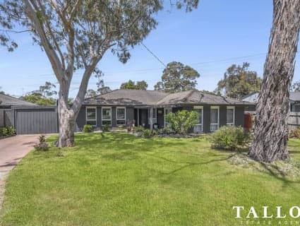 15 Lyall Street, Hastings - Image 1