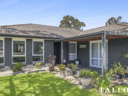 15 Lyall Street, Hastings - Thumbnail 2