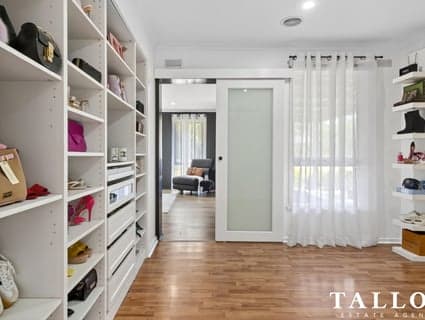 15 Lyall Street, Hastings - Thumbnail 4