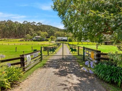 1086 Yarramalong Road, Wyong Creek - Thumbnail 3