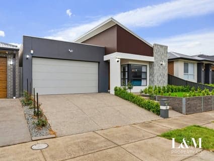 20 Red Wattle Way, Greenvale - Thumbnail 3
