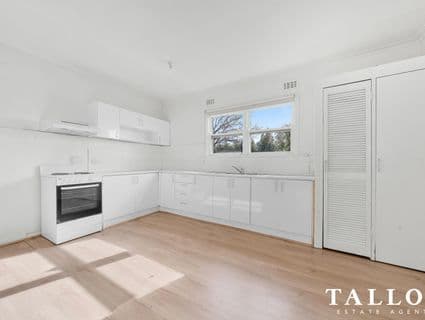 6 Elizabeth Street, Hastings - Thumbnail 3