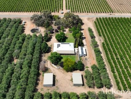 23 Falcon Street, Renmark North - Thumbnail 2