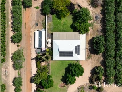 23 Falcon Street, Renmark North - Thumbnail 3