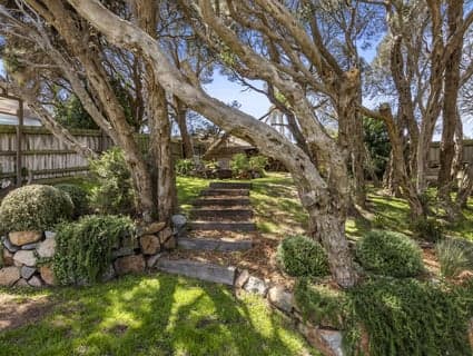 13 Anelida Street, Rye - Thumbnail 7