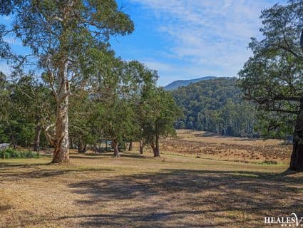 445 Maroondah Highway, Healesville - Thumbnail 8