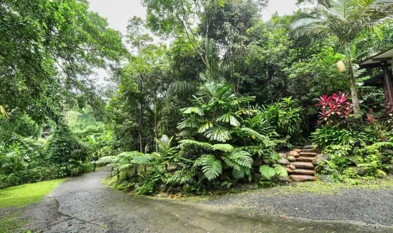 4 Harriman Street, Kuranda, Qld 4881, Kuranda - Thumbnail 3