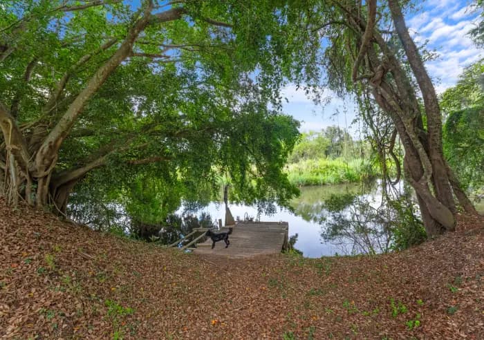 325 Petrie Creek Rd, Rosemount - Thumbnail 6