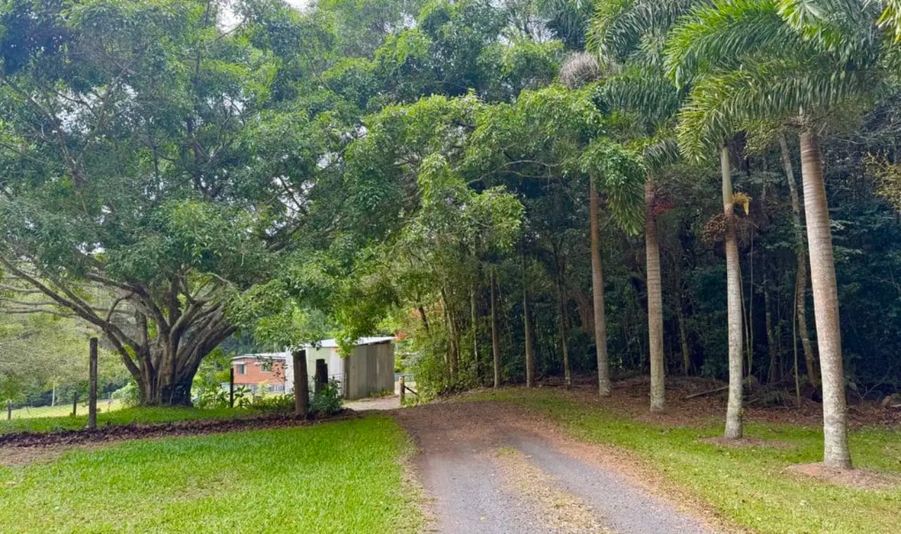 429 Oak Forest Road, Kuranda 4881, Kuranda - Thumbnail 2
