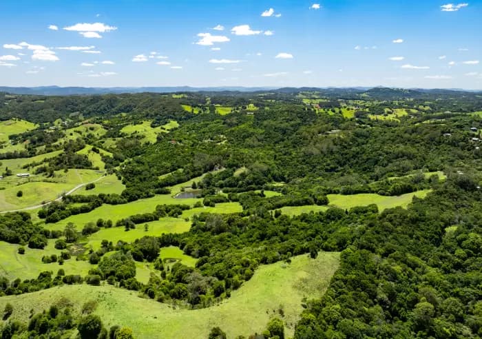 165 Larneys Lane, Eerwah Vale - Thumbnail 4