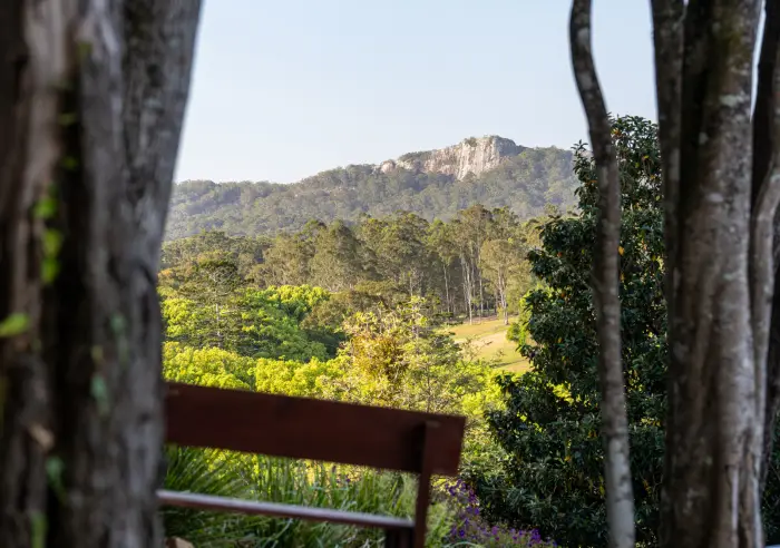 134 Tunba Ct, Cooroy Mountain - Thumbnail 4