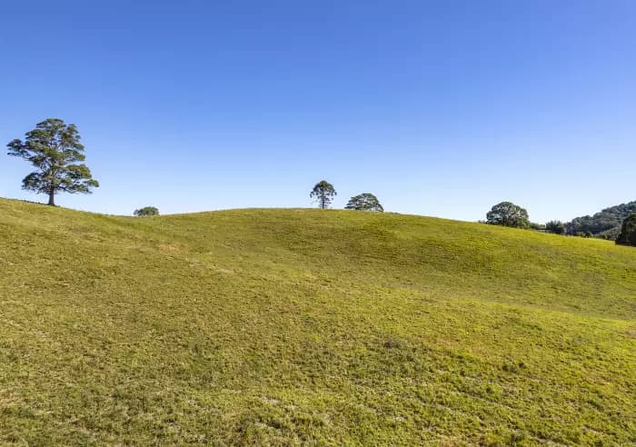 32 Solar Rd, Eumundi - Thumbnail 5