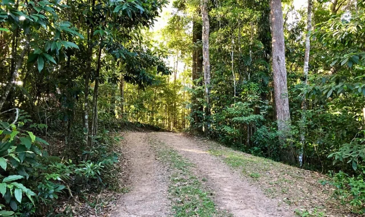 43 Williamson Drive, Kuranda, Qld 4881, Kuranda - Thumbnail 2