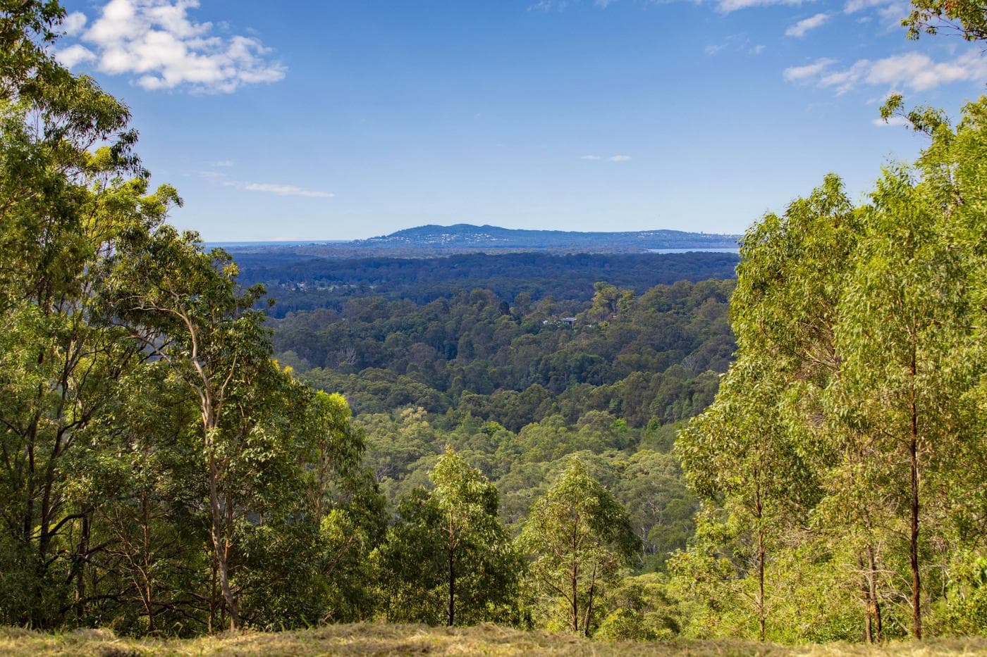 107 Litfin Rd, Verrierdale - Image 1