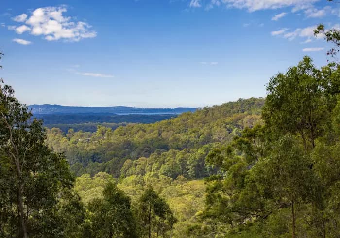 107 Litfin Rd, Verrierdale - Thumbnail 3