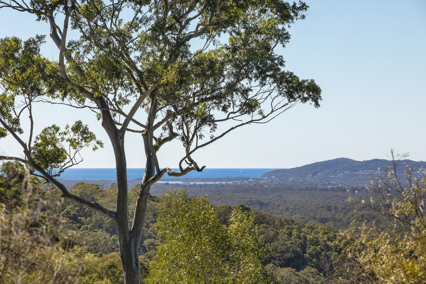 339 Duke Rd, Doonan - Image 1