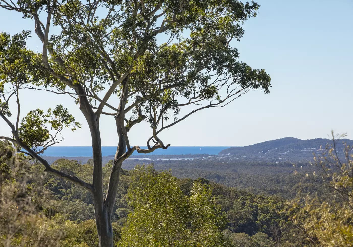 339 Duke Rd, Doonan - Thumbnail 2