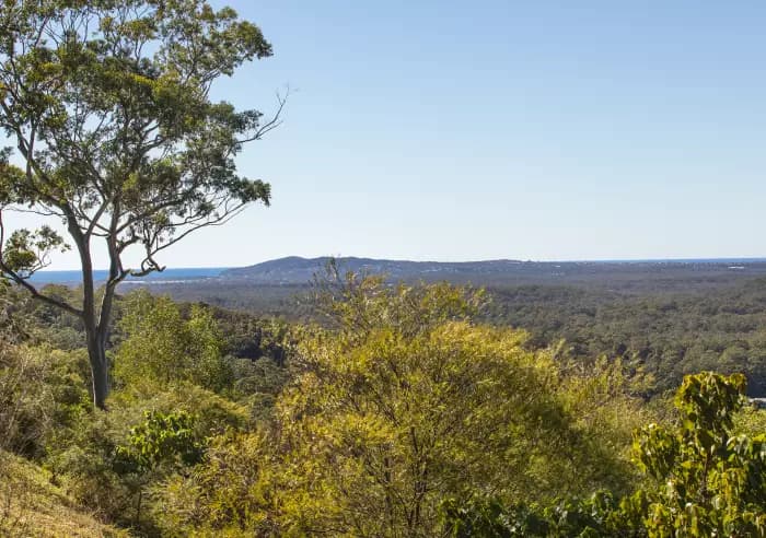 339 Duke Rd, Doonan - Thumbnail 6