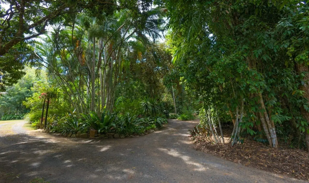 111 Douglas Track, Speewah, Qld 4881, Speewah - Thumbnail 6