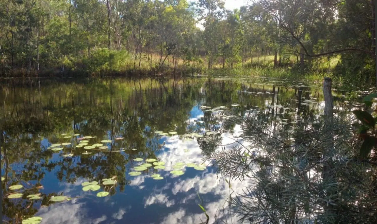 2413 Kennedy Highway, Koah, Qld 4881, Koah, - Thumbnail 8