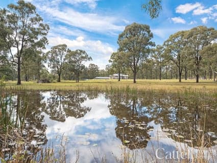 929 Old Maitland Road, Bishops Bridge - Thumbnail 6