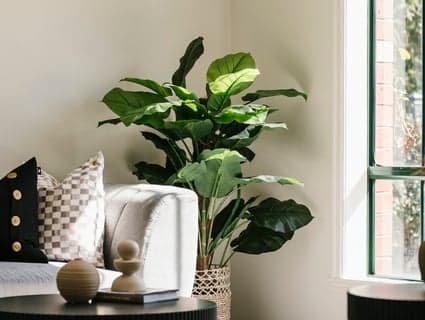 404, Pascoe Vale - Thumbnail 7